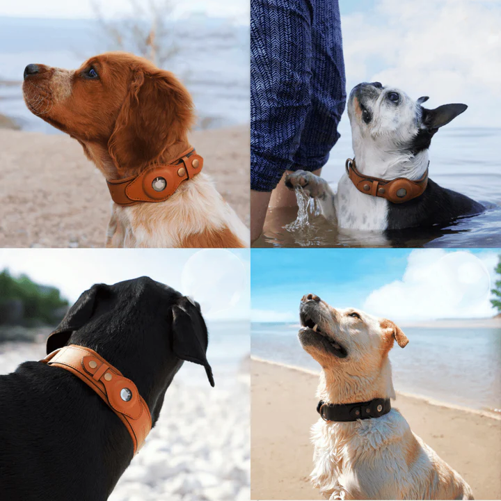 FurryPet Skórzana obroża AirTag