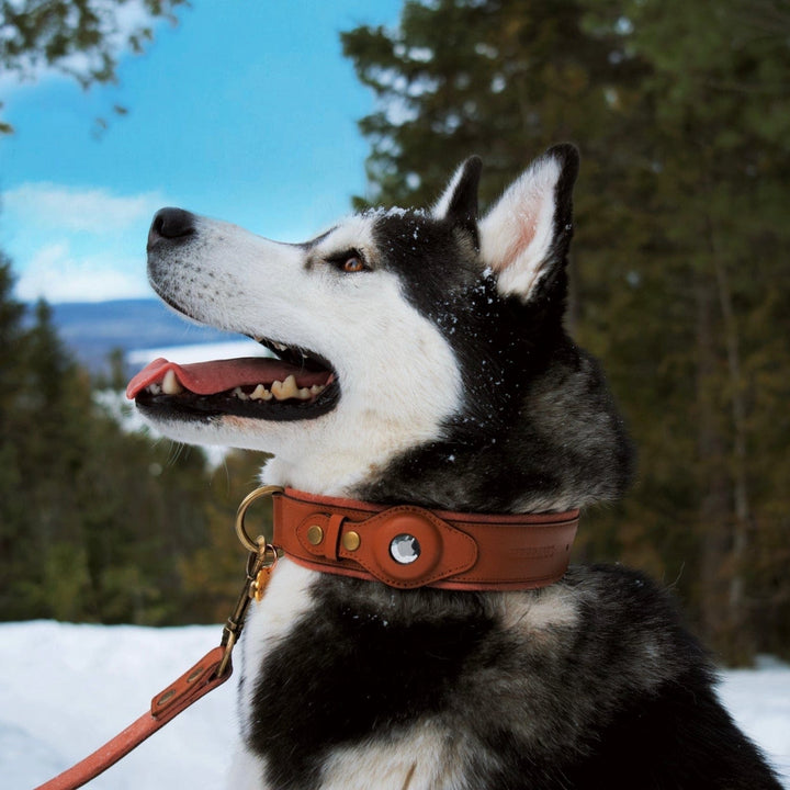 FurryPet Skórzana obroża AirTag