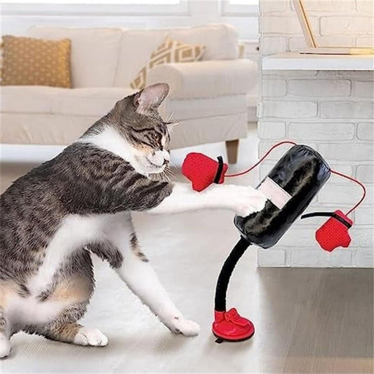 Koci Boks
