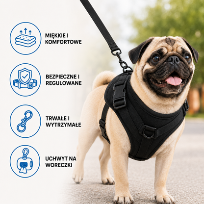 FurryPet™ – Zestaw Spacerowy dla Psa