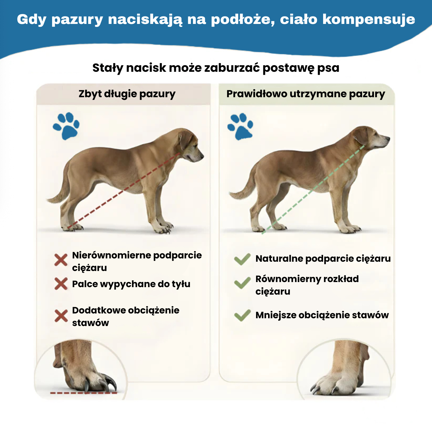 FurryPet™ Plansza z Ukrytą Nagrodą