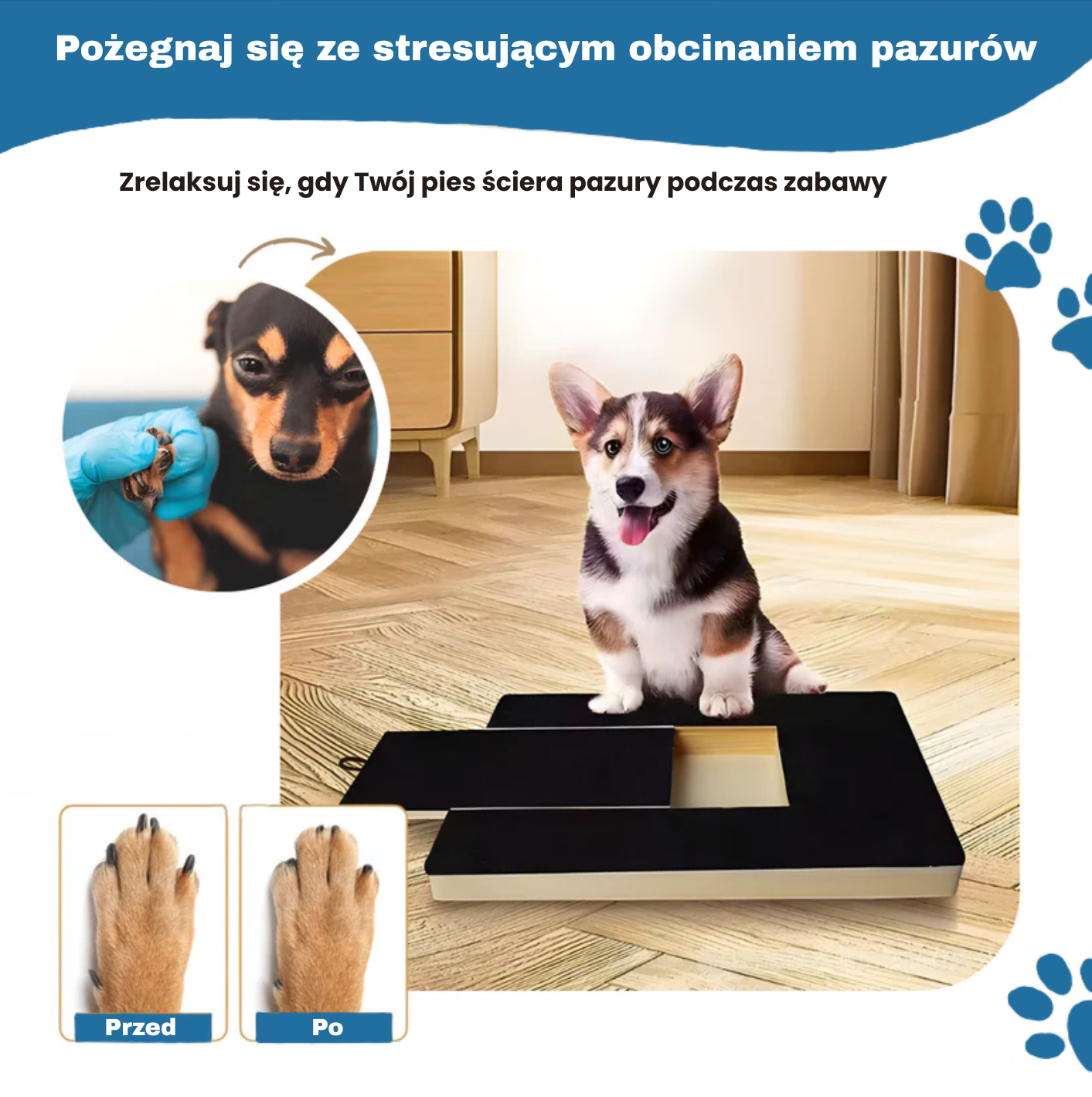 FurryPet™ Plansza z Ukrytą Nagrodą