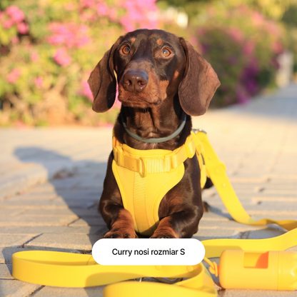 FurryPet™ – Zestaw Spacerowy dla Psa