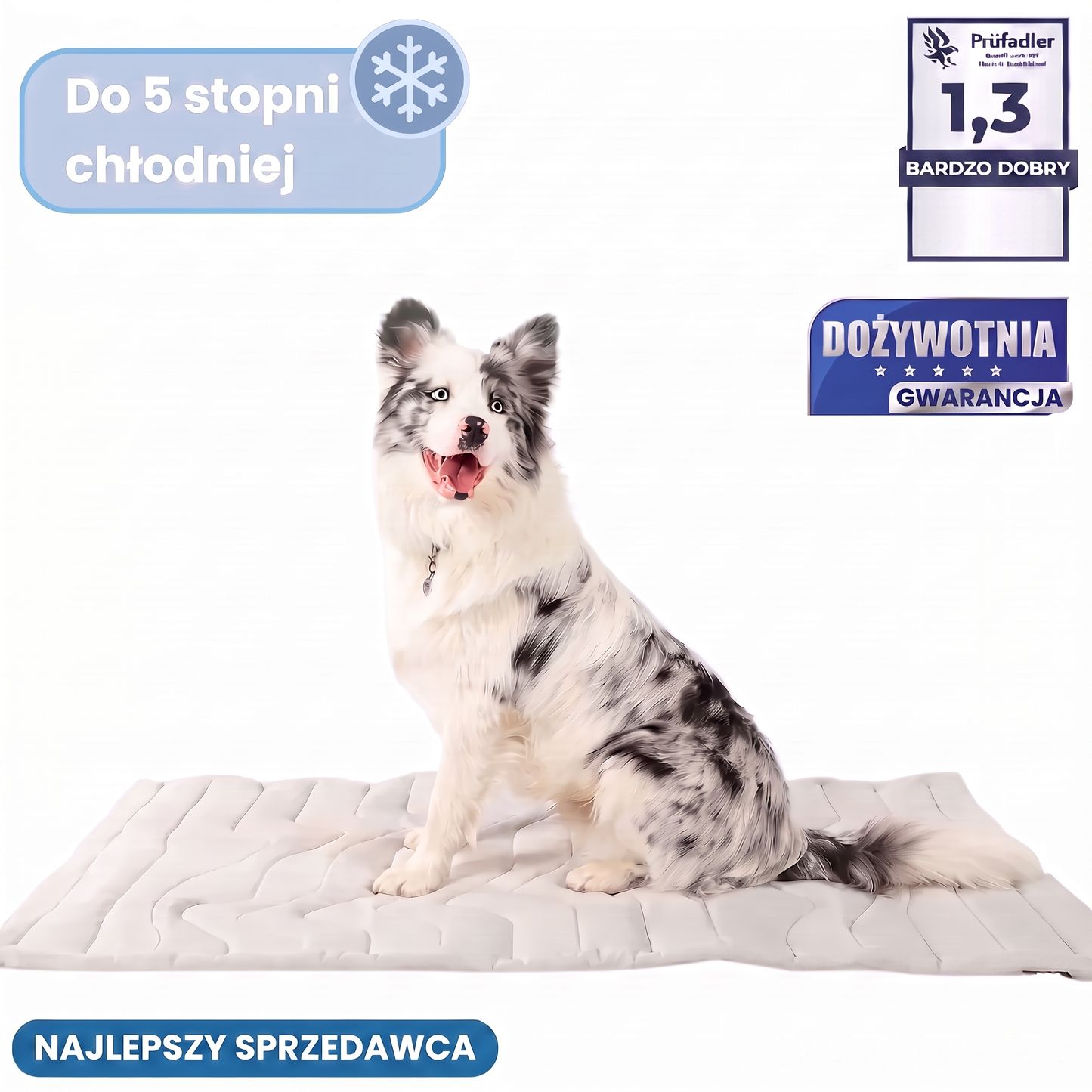 FurryPet™ – Mata Chłodząca