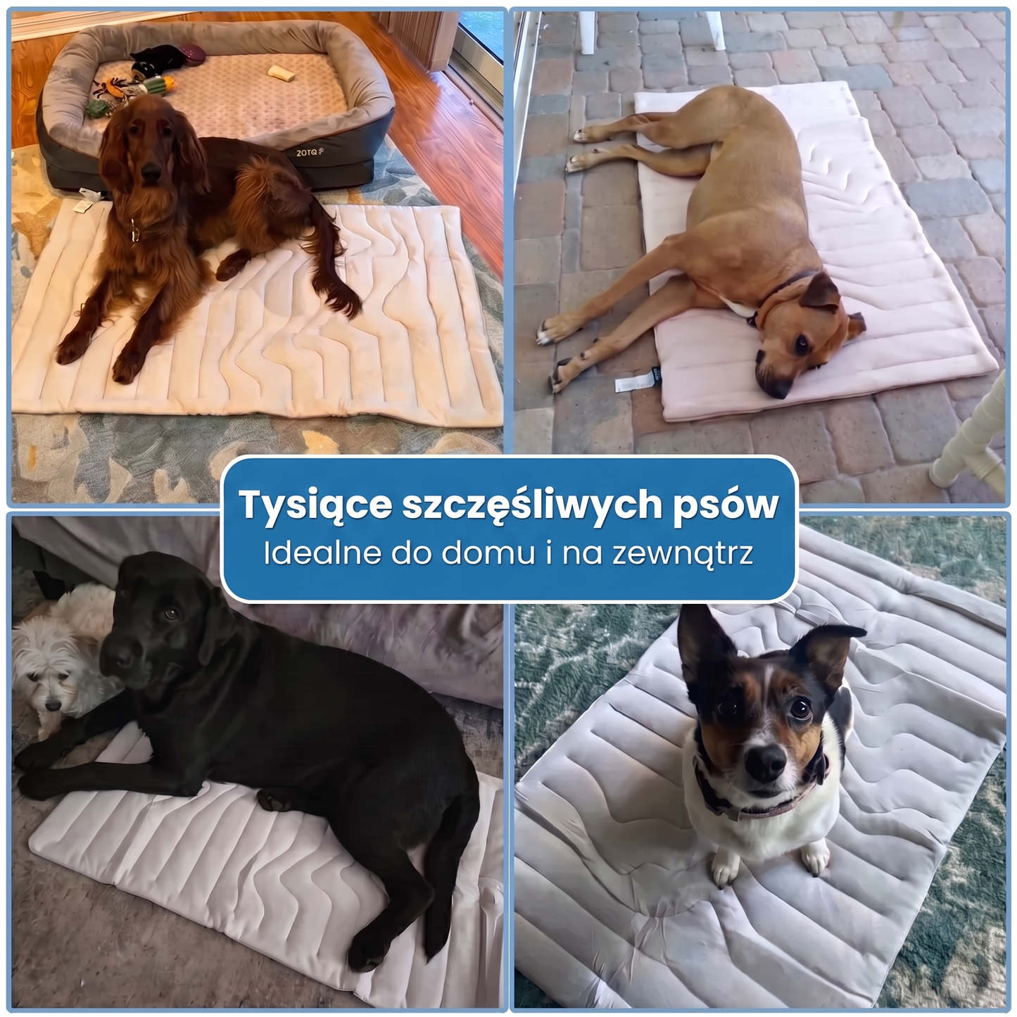 FurryPet™ – Mata Chłodząca