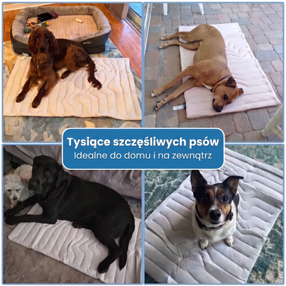 FurryPet™ – Mata Chłodząca